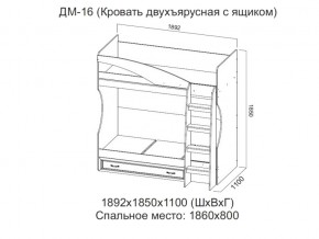 ДМ-16 Кровать двухъярусная с ящиком в Верхнем Тагиле - verhnij-tagil.магазин96.com | фото