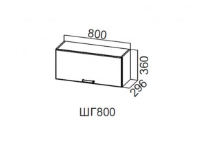 ШГ800/360 Шкаф навесной 800/360 (горизонт.) в Верхнем Тагиле - verhnij-tagil.магазин96.com | фото