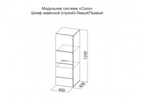 Шкаф навесной (глухой) Левый в Верхнем Тагиле - verhnij-tagil.магазин96.com | фото