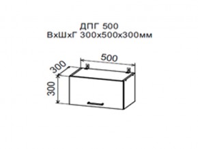 Шкаф верхний ДПГ500 горизонтальный в Верхнем Тагиле - verhnij-tagil.магазин96.com | фото