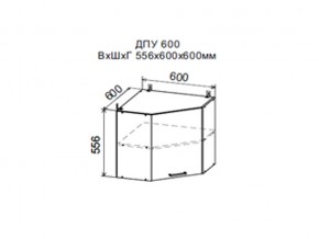 Шкаф верхний ДПУ600 угловой в Верхнем Тагиле - verhnij-tagil.магазин96.com | фото